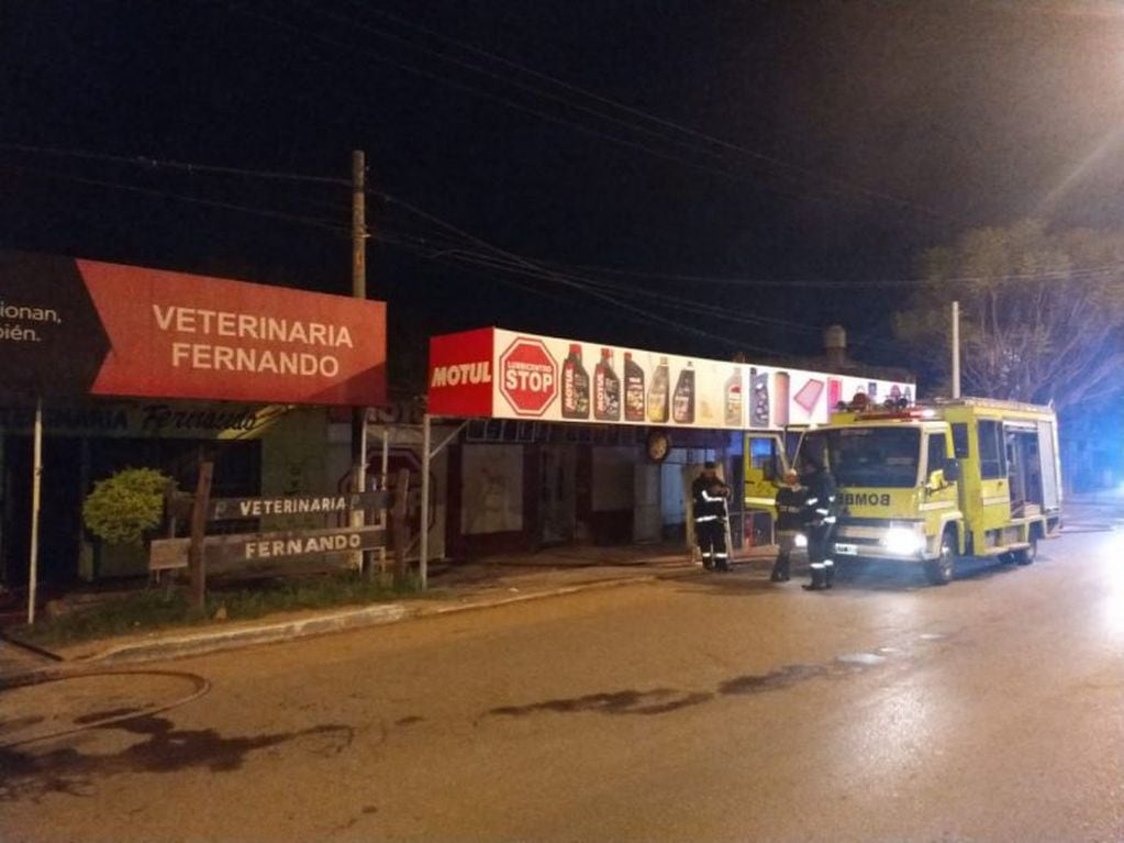 Voraz incendio en una veterinaria termina con gatitos siendo rescatados por bomberos. (Diario Chaco).