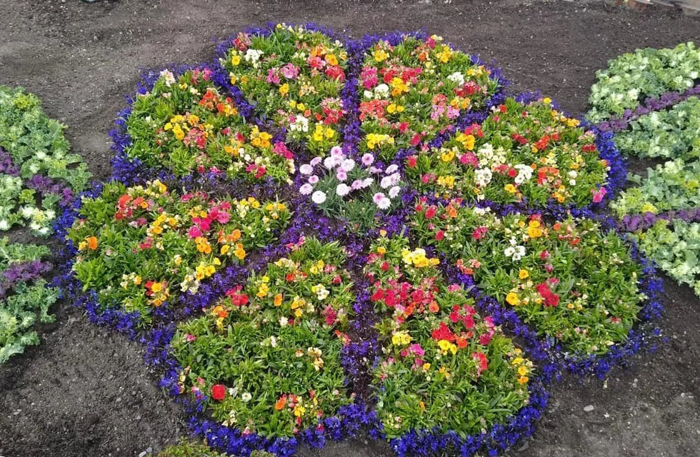 Bajo el programa de embellecimiento de la ciudad se realizó la plantación de flores y arbustos en las distintas rotondas de ingreso a Ushuaia.
