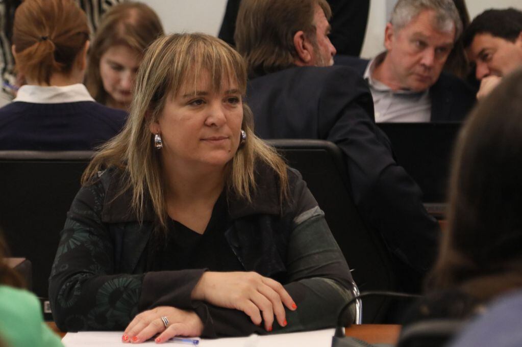 Natalia Souto adelantó que no votará por la derogación de las PASO.
