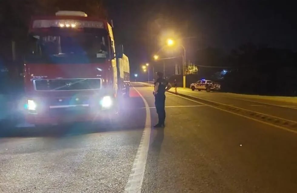 Contrabando de granos: detuvieron a cuatro camiones en Aristóbulo del Valle y El Soberbio.