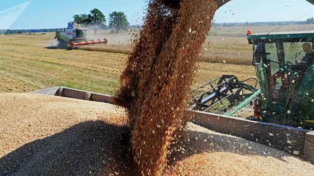 Vicentín mostró una duda "impagable" en diciembre de 2019 y puso en alerta a todo el mercado de granos. 