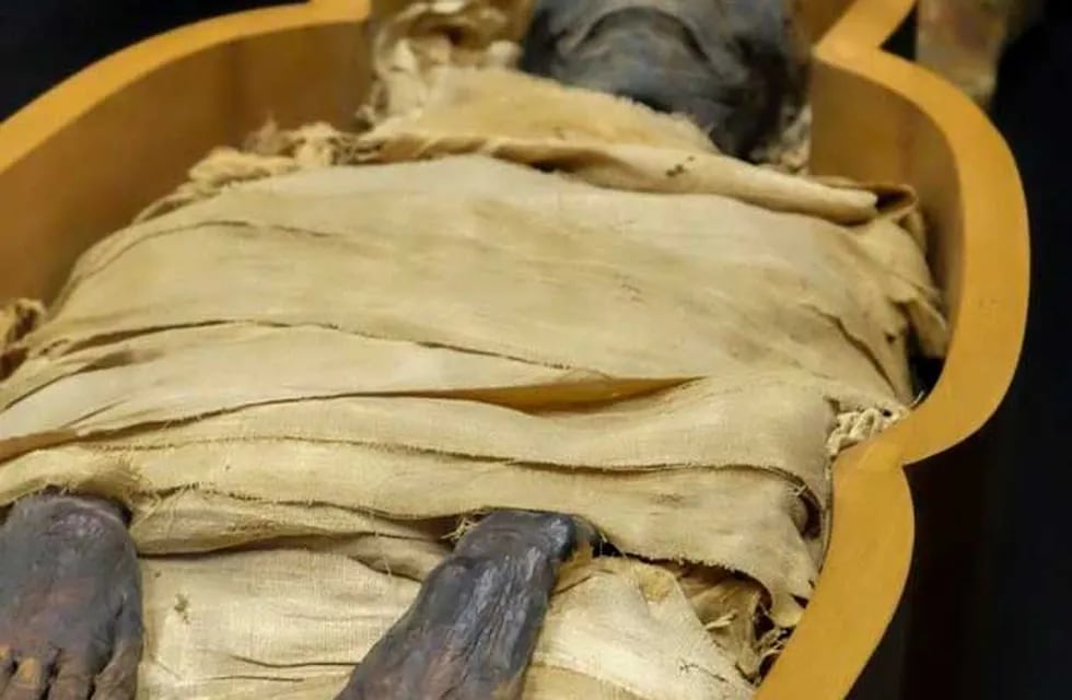 Imagen referencial de un cadáver momificado