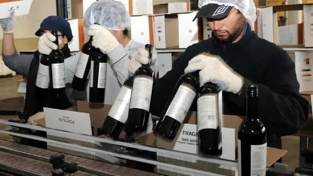  Bodegueros no lograron mejorar subsidios del Gobierno para exportar vino.