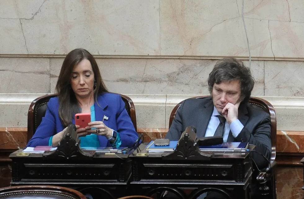 Javier Milei junto a Victoria Villarruel en el Congreso. Foto: Federico López Claro