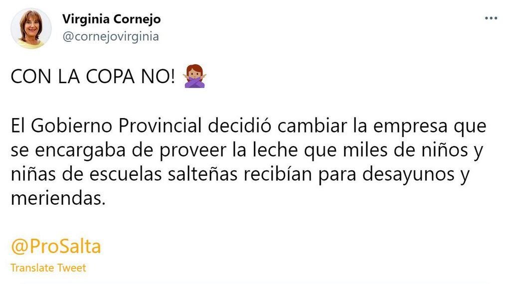Virginia Cornejo, diputada nacional por el PRO, se sumó al repudio por la contratación de la empresa para brindar la copa de leche.