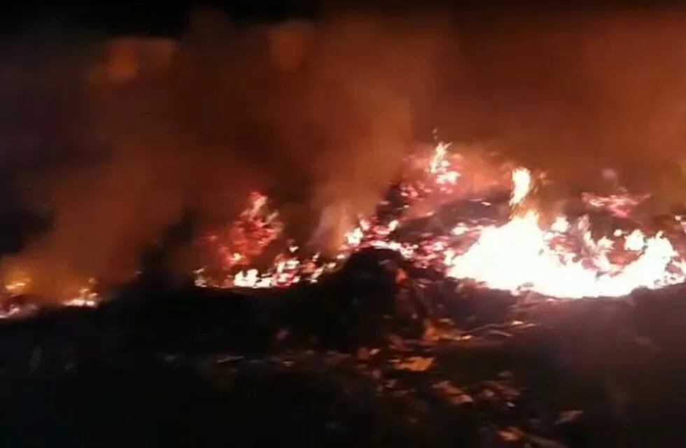 Eldorado: quema de residuos casi provoca una tragedia forestal.