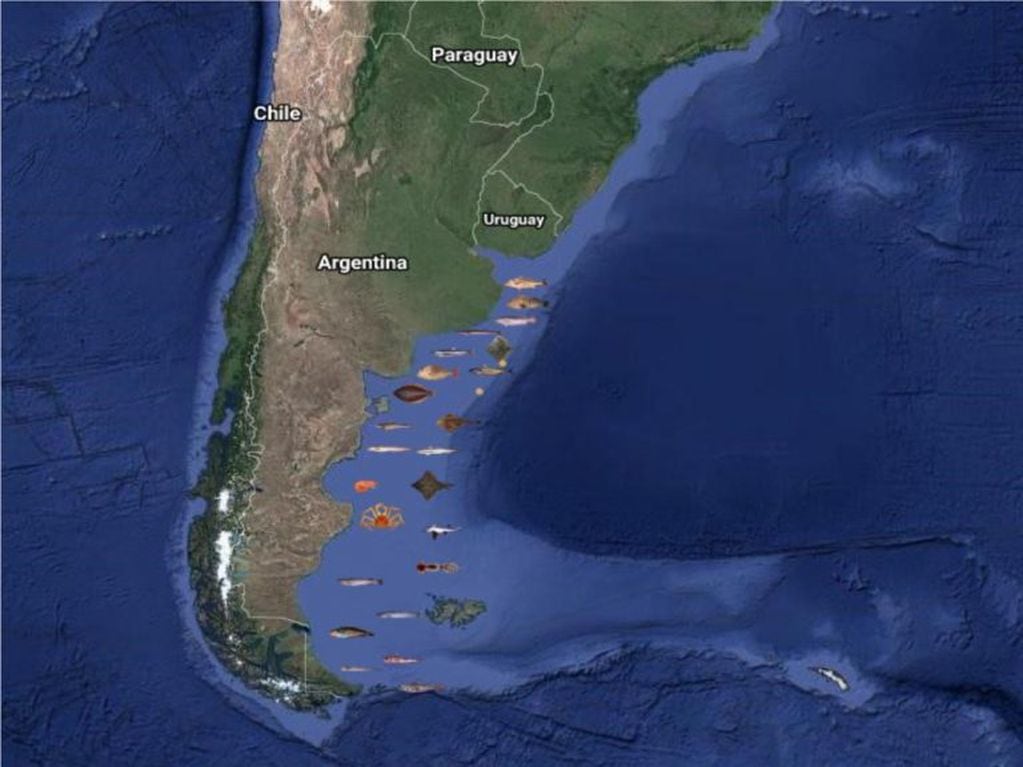 Distribución de especies en el litoral marítimo