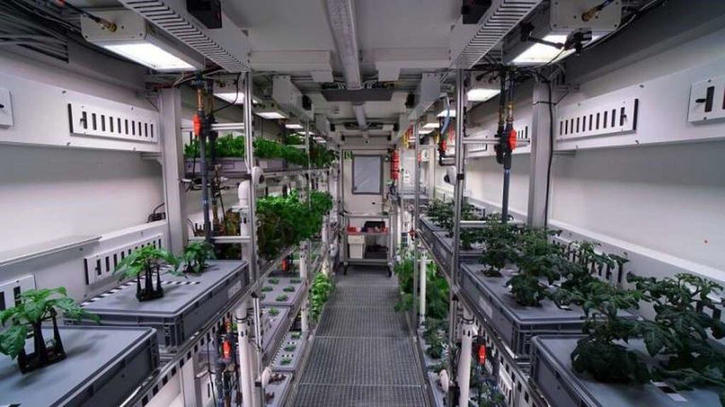 En 2018 la investigación polar alemana Neumayer III a cargo del científico   Paul Zabel logró cultivar vegetales verdes, esto es lo que intentará replicar la dotación Argentina.