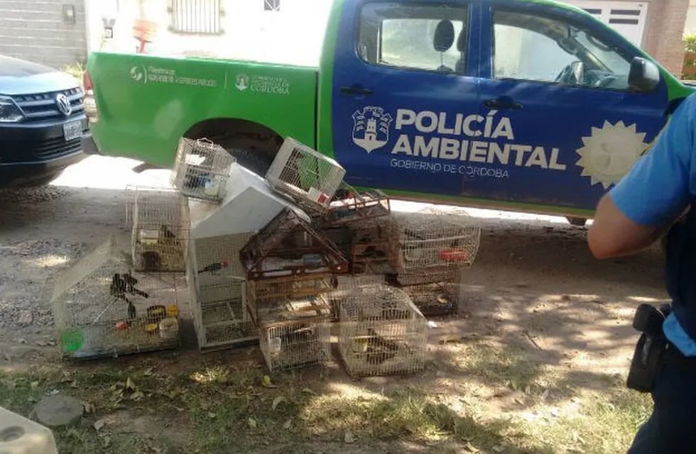 El tráfico de fauna en Córdoba y todo lo que se secuestró en 2017 en los operativos de Policía Ambiental.