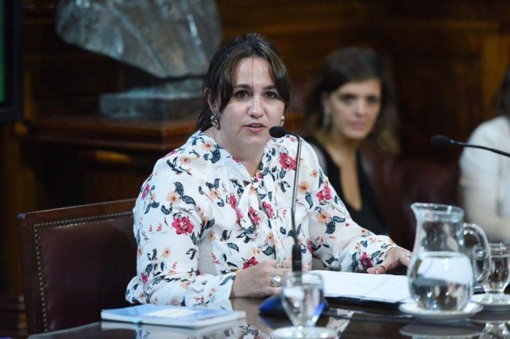 Ana Almirón fue electa para presidir una comisión en el Senado de la Nación.
