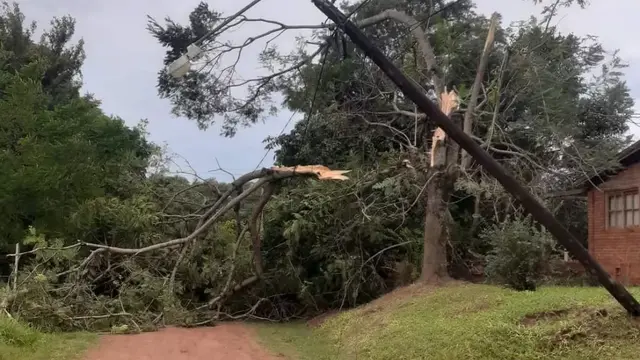 Importantes daños en el tendido eléctrico tras una fuerte tormenta en Montecarlo