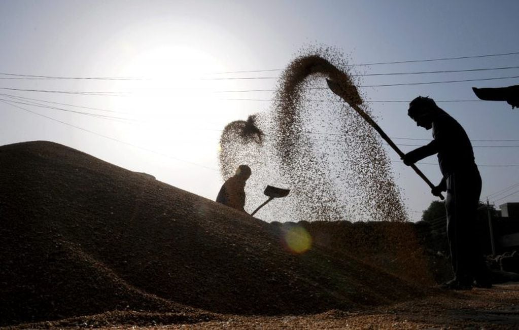 Trabajadores avientan granos de trigo en un mercado de Amritsar, India, el 26/04/2018. Foto: Amrit - Shiva Sharma/PTI/dpa +++ dpa-fotografia +++