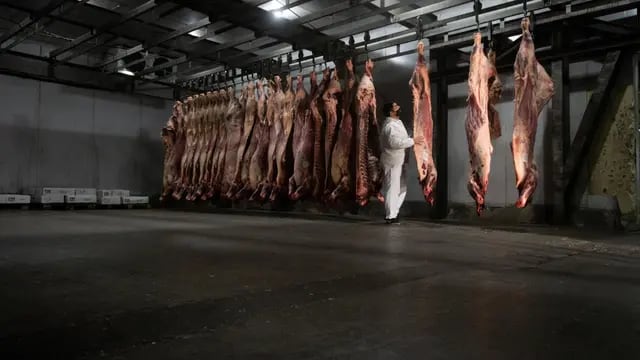 Prohibición de exportar carne por 30 días