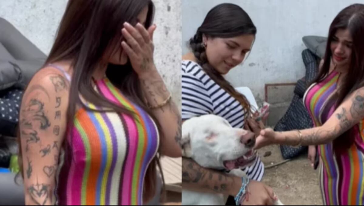 Mujeres De Only Fans Con Animales