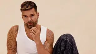 Ricky Martin subió una foto que enamoró a sus fans.