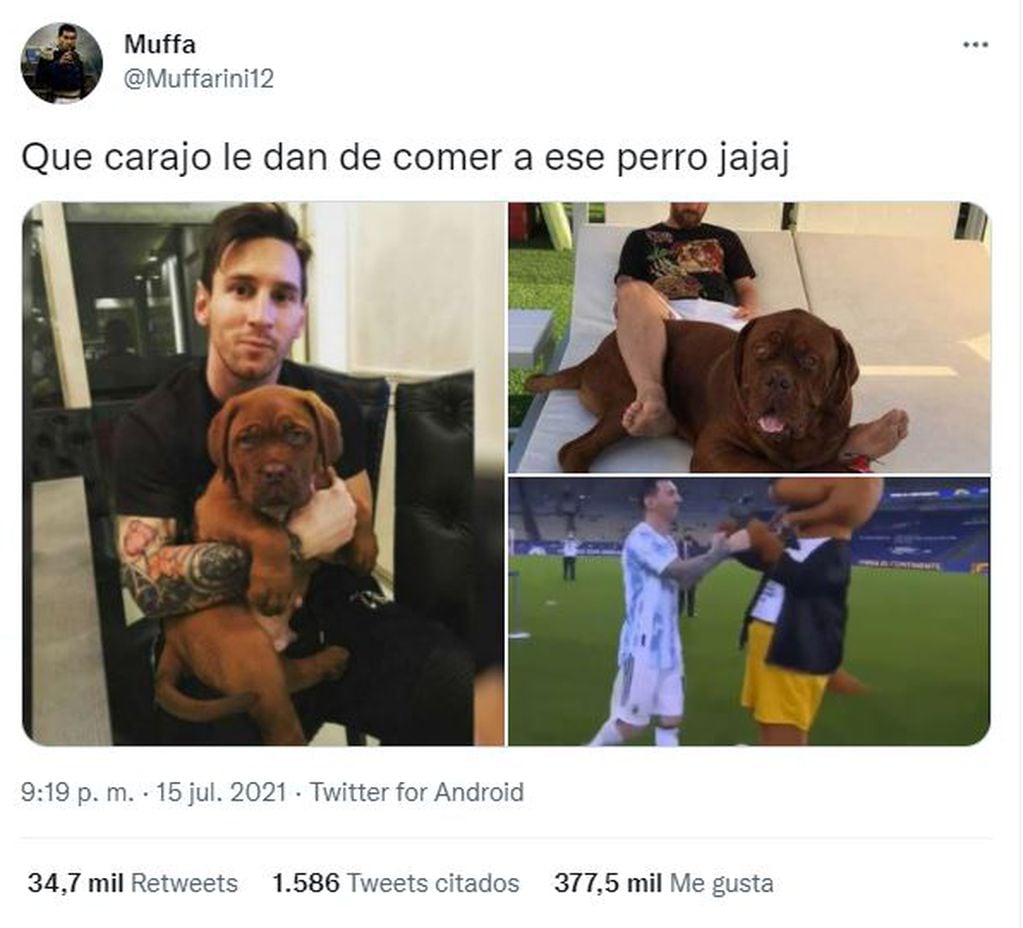 Lionel Messi y su perro Hulk, fueron uno de los momentos más alegres de Twitter 2021.