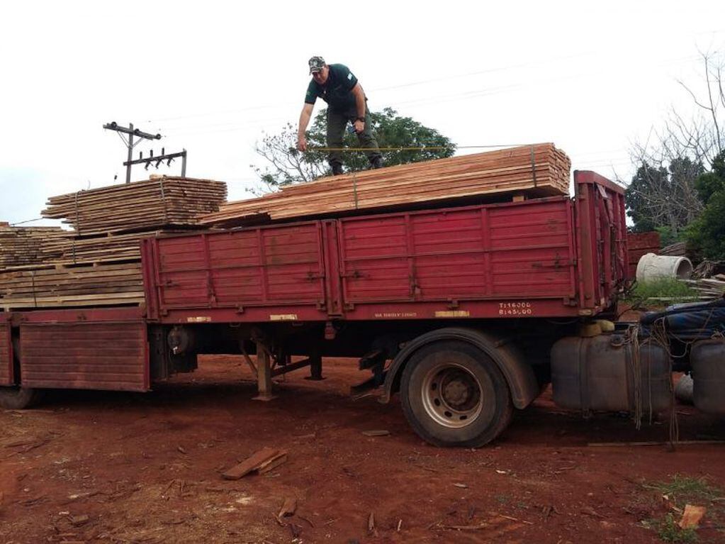 Ecología clausuró una planta y secuestró un camión con madera nativa.