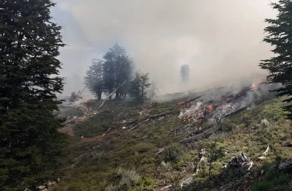 Los incendios en Quillén están contenidos, pero se consumieron 2.900 hectáreas.