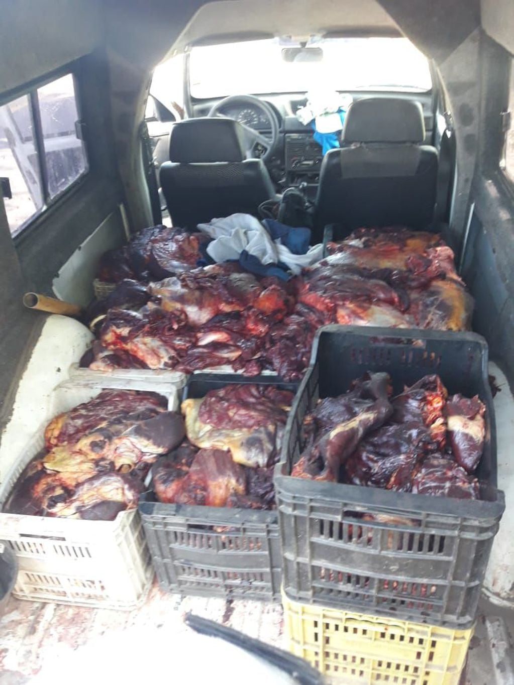 Las cajas con la carne que la Policía Rural sospecha que es de los caballos faenados que luego era vendida a un almacén.