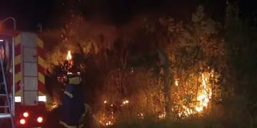 Incendio provocó que media hectárea de monte quedara destruida en Oberá