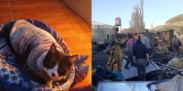 su gata la despertó y la salvó cuando se desató el incendio en su casa de Laprida.