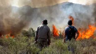 En equipo. Bomberos de varias localidades de Punilla lograron controlar ayer el incendio en Estancia La Berna, cerca de Huerta Grande (La Voz).