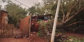 Tormenta en Iguazú dejó a una familia atrapada en su casa por la caída de arboles y cables