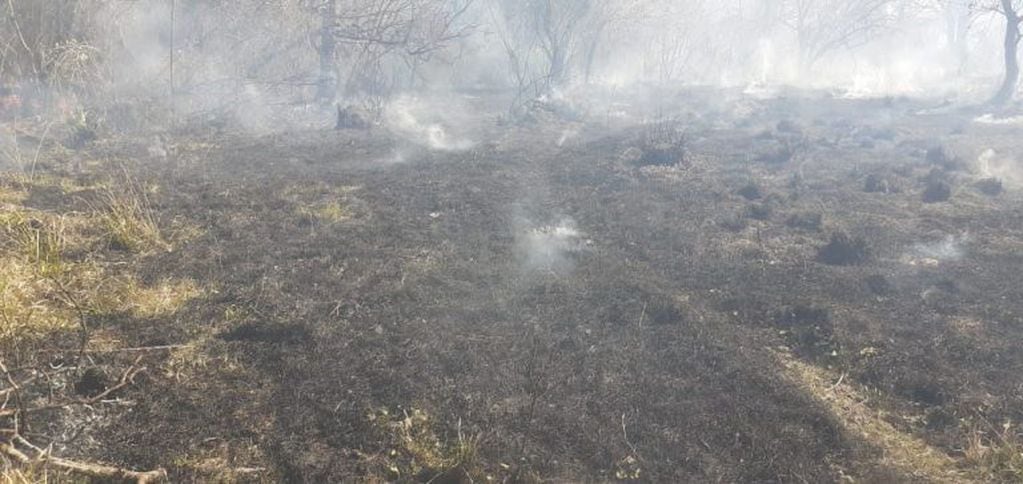 Incendio en los campos del parque provincial San Cayetano.