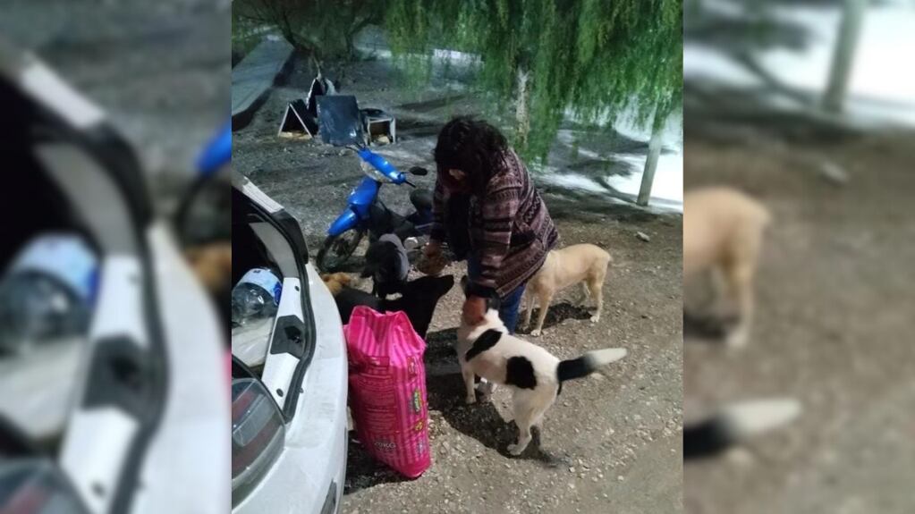 Natalia, la sanjuanina que junto a su pareja arman casitas y asisten a perritos que viven en la calle