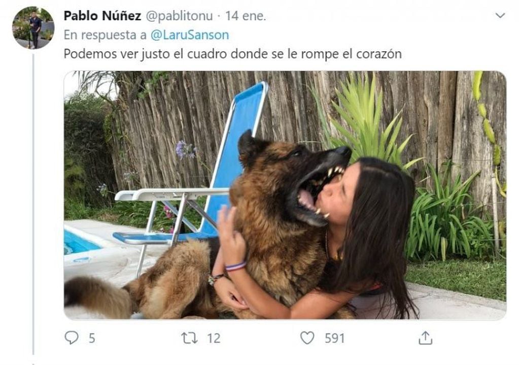 Los memes de la mordida del perro Kenai a Laru que se volvió viral (Foto: captura Twitter)