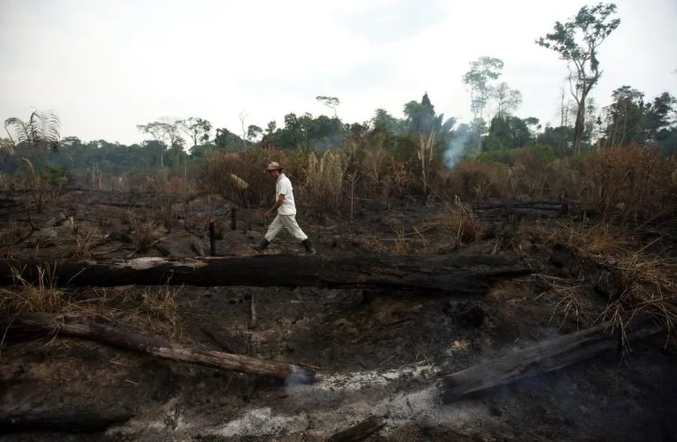 Vista de los daños producto del incendio en la selva amazónica este lunes, en Porto Velho (Brasil). Crédito: EFE/Joédson Alves.