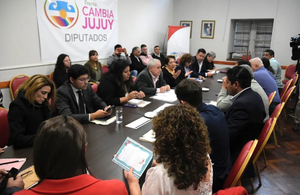 Autoridades del Ministerio de Educación de Jujuy se reunieron con la Comisión de Educación en el salón "Raúl Alfonsín" de la Legislatura de la Provincia.