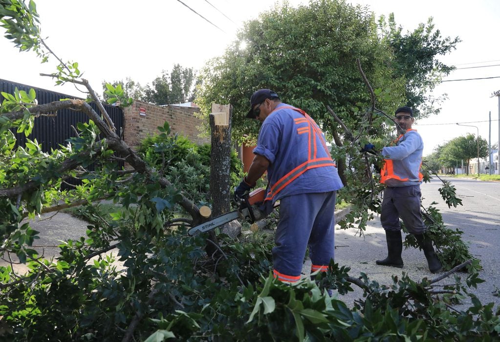 Personal municipal cortó las ramas que estaban en las calles y liberó el tránsito