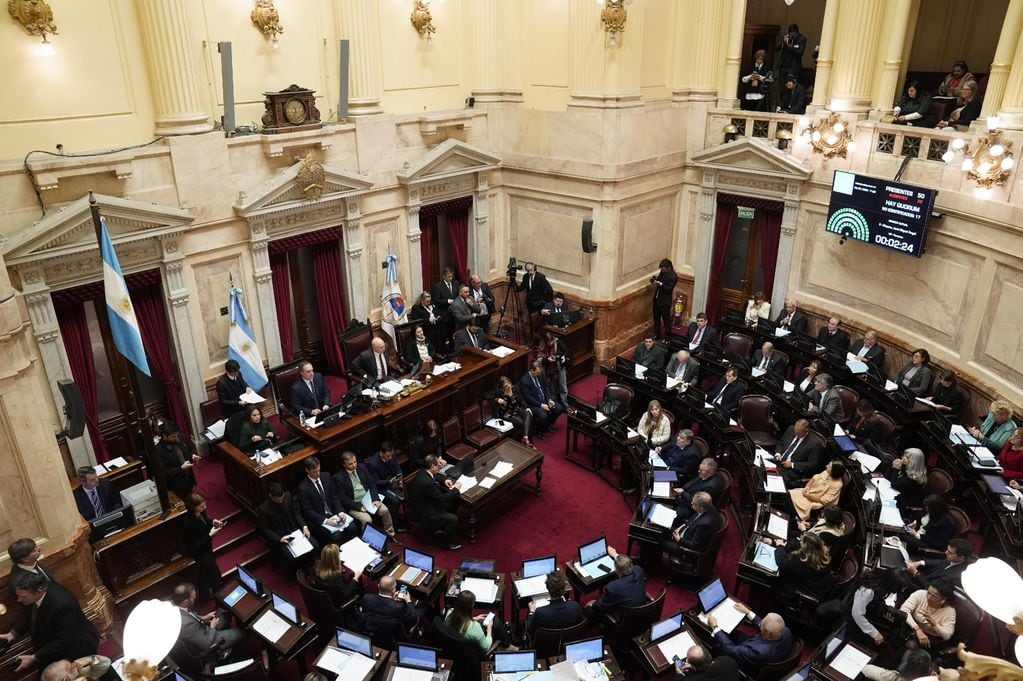 La vicepresidenta Victoria Villarruel no presidió la sesión por un cuadro gripal (Foto: Clarín)