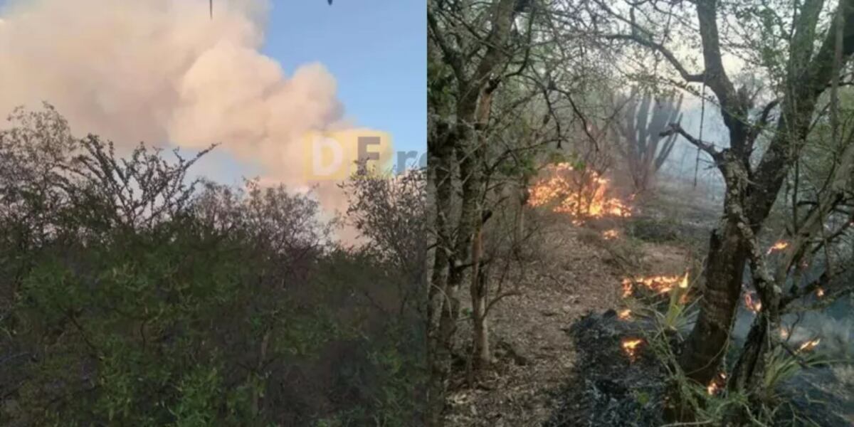 Incendios en Salta: el fuego afecta kilómetros de bosque nativo