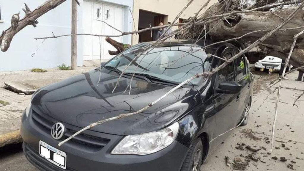 En Villa María un árbol cayó sobre un vehículo, en plena vía pública.