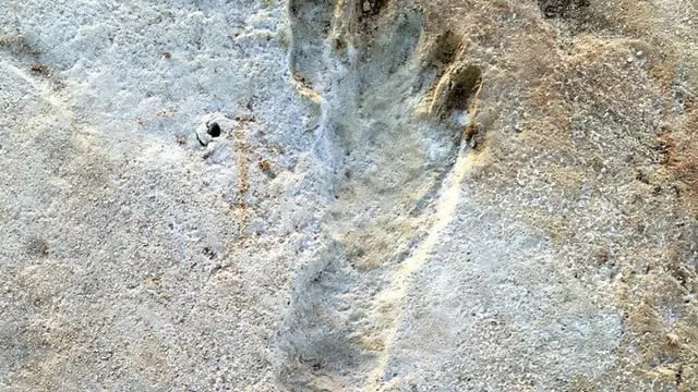 Un descubrimiento cambia la historia de la llegada del hombre a América: hallaron huellas humanas de la Edad de Hielo