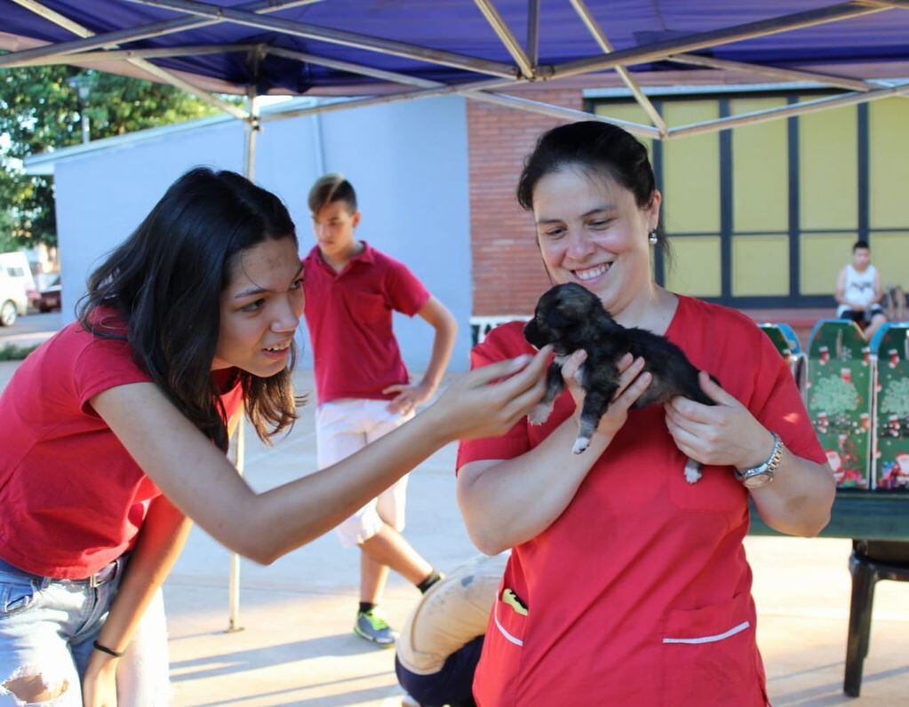Se realizó una jornada de adopción de mascotas en Montecarlo.