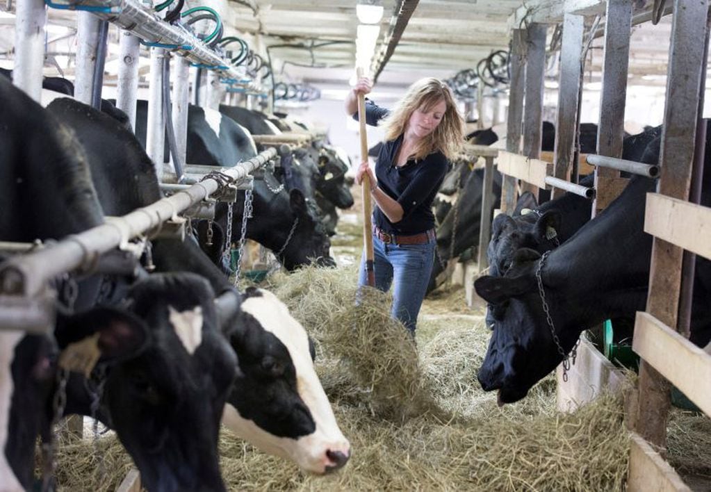 Vaca Holando - REUTERS/Christinne Musch
