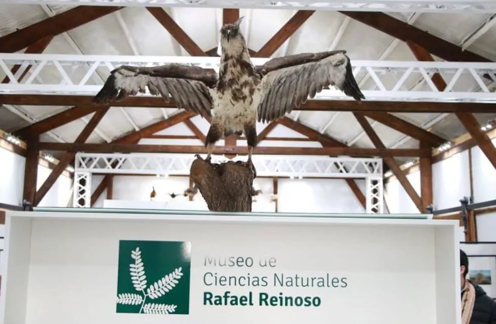 Museo Rafael Reinoso General Alvear