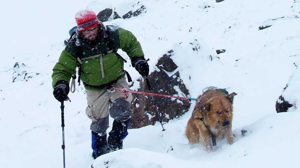 Uno los dos: desde 2013, las vidas de Nacho y el perro Oro se fusionaron en una sola. En 2016 hicieron cumbre en el Aconcagua por primera vez, y luego lo repitieron 3 veces más. Foto: Twitter @CumbresMagazine