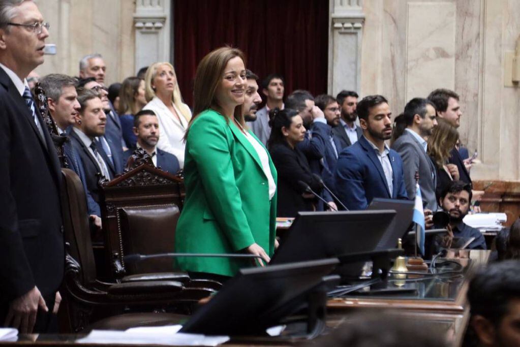 Cecilia Moreau, presidenta de la cámara de Diputados, apeló al fallo del juez Martín Cormick, el cual anuló el nombramiento de diputada radical Roxana Reyes.  (Foto: HCDN)