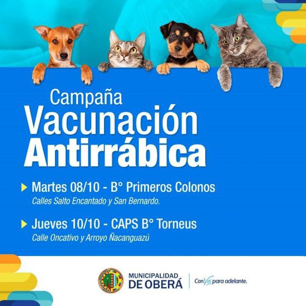 Campaña de vacunación antirrábica para mascotas de Oberá.