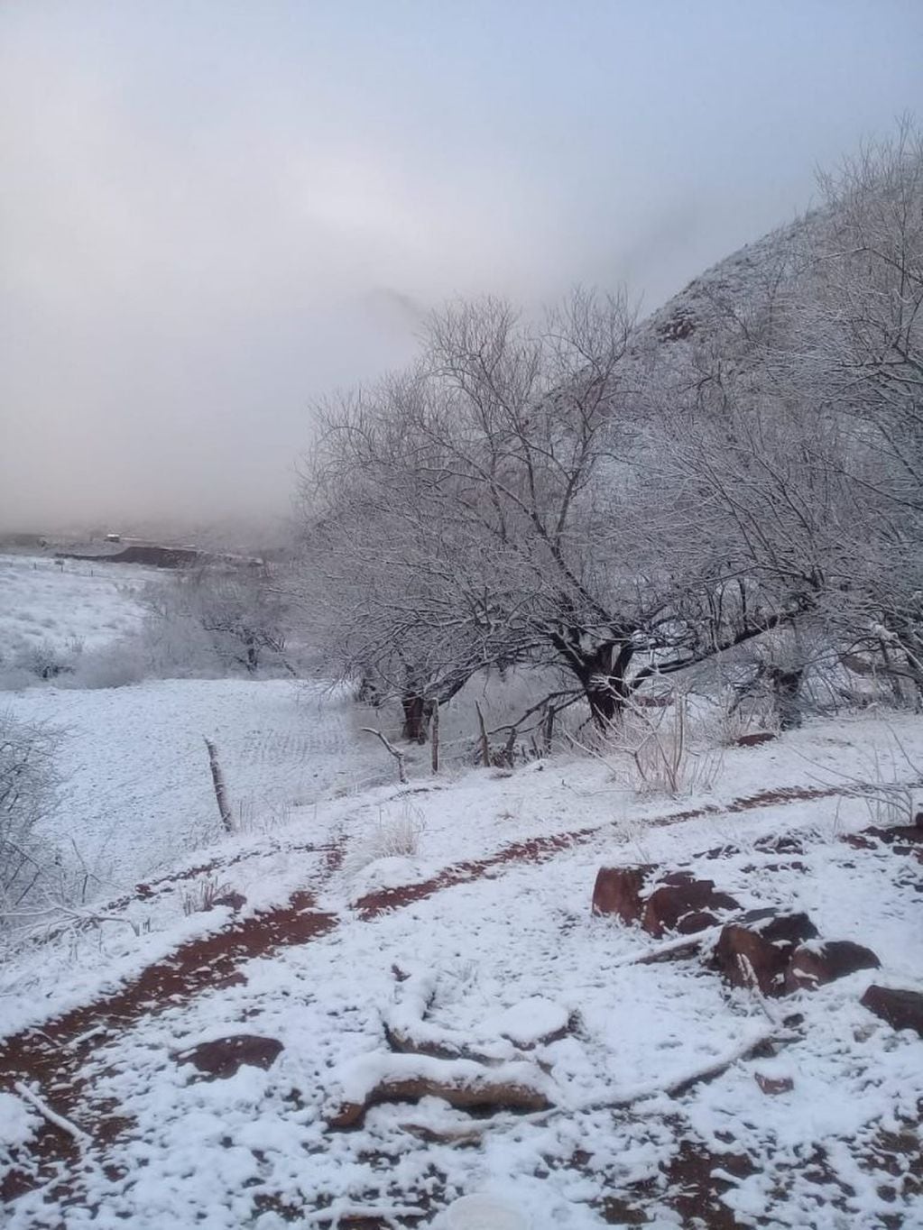 Salta amanece con aguanieve y cerros blancos (Facebook Telefé Salta)
