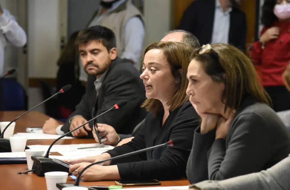La Comisión de Legislación General, presidida por Cecilia Moreau, emitió tres dictámenes sobre la ley de alquileres (Foto: HCDN)