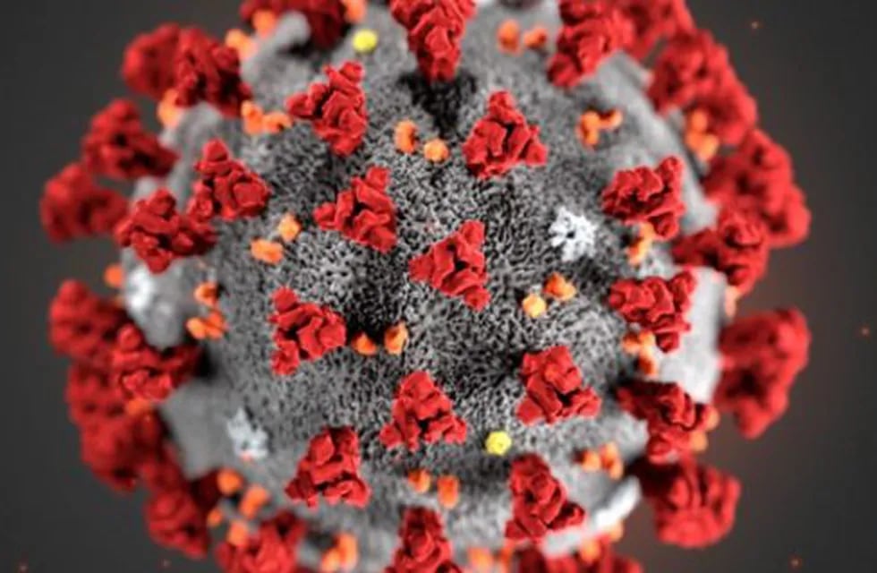 La molécula del coronavirus (Foto: web)