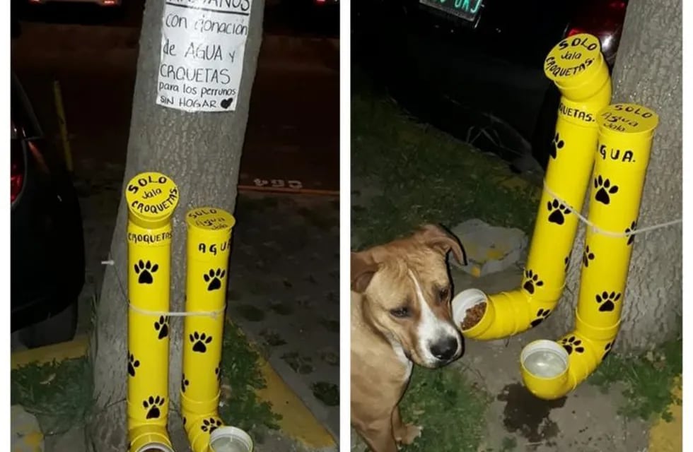 Comedero para perros en Rosario
