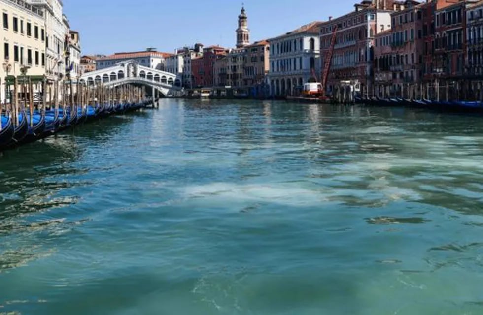 Sin turistas por el coronavirus, revivieron los canales de Venecia: agua cristalina, peces, patos y cisnes (Foto: web)