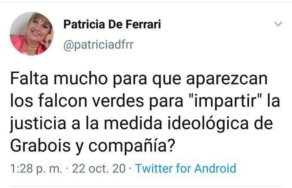 Twit borrado de la legisladora Patricia de Ferrari