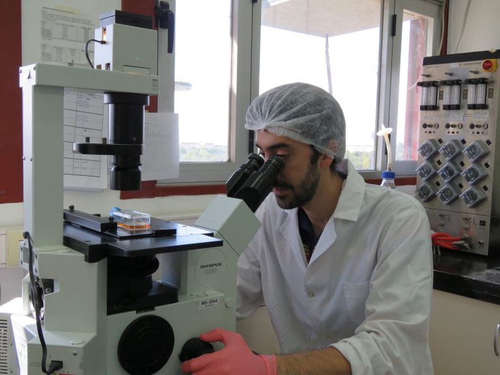 Científicos de la UNL trabajan en un proyecto para desarrollar una vacuna contra el coronavirus (UNL)